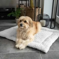 TrendPet Hondendeken Heaven Grijs 17 TrendPet Hondendeken Heaven Grijs -Hond winkel image 2303