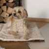 TrendPet Hondendeken Relax -Hond winkel image 2305