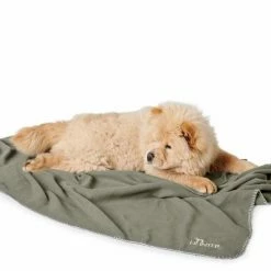 Hunter Hondendeken Casper Groen