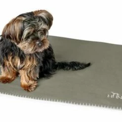 Hunter Hondendeken Casper Groen -Hond winkel image 2318