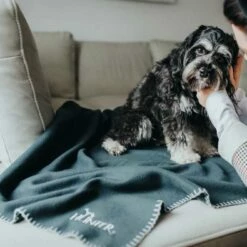 Hunter Hondendeken Casper Antraciet -Hond winkel image 2330