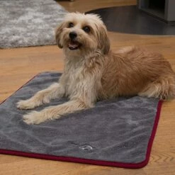 TrendPet Hondendroogdeken Ruby