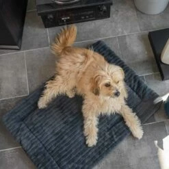 TrendPet Hondendeken Harmony Grijs 11 TrendPet Hondendeken Harmony Grijs -Hond winkel image 2366