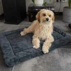 TrendPet Hondendeken Harmony Grijs 12 TrendPet Hondendeken Harmony Grijs -Hond winkel image 2367