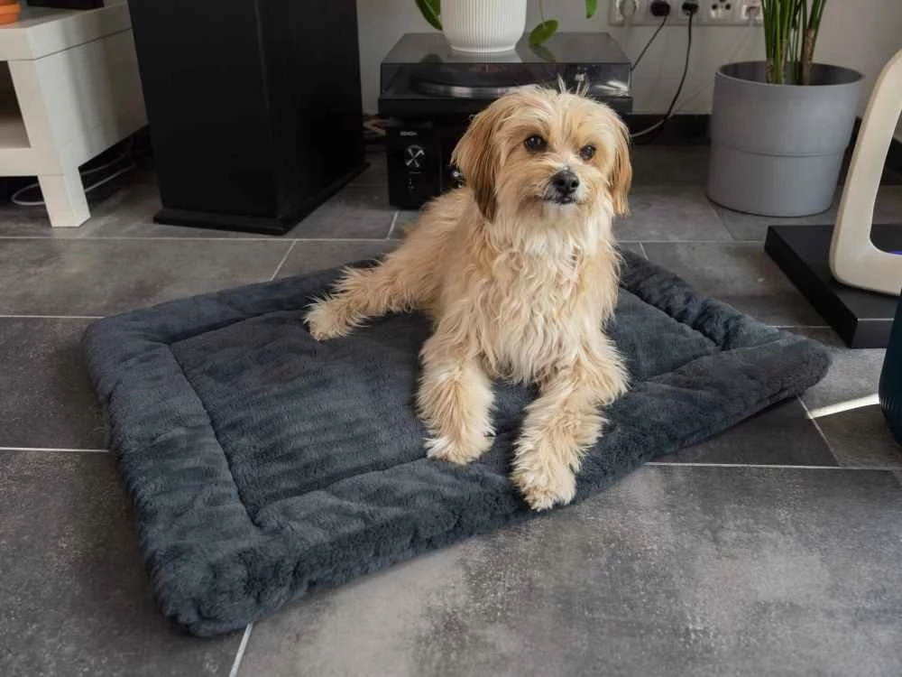 TrendPet Hondendeken Harmony Grijs 6 TrendPet Hondendeken Harmony Grijs - Afbeelding 4