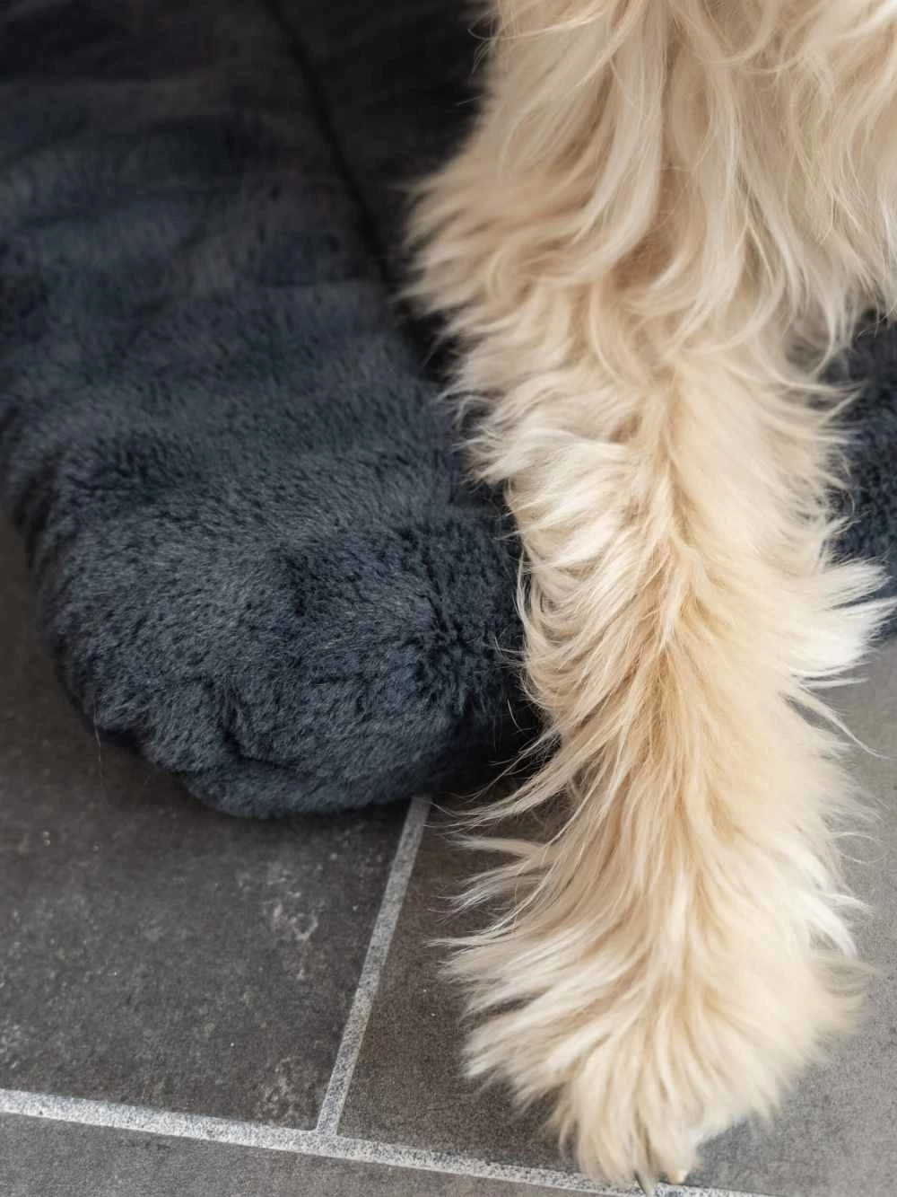 TrendPet Hondendeken Harmony Grijs 9 TrendPet Hondendeken Harmony Grijs - Afbeelding 7