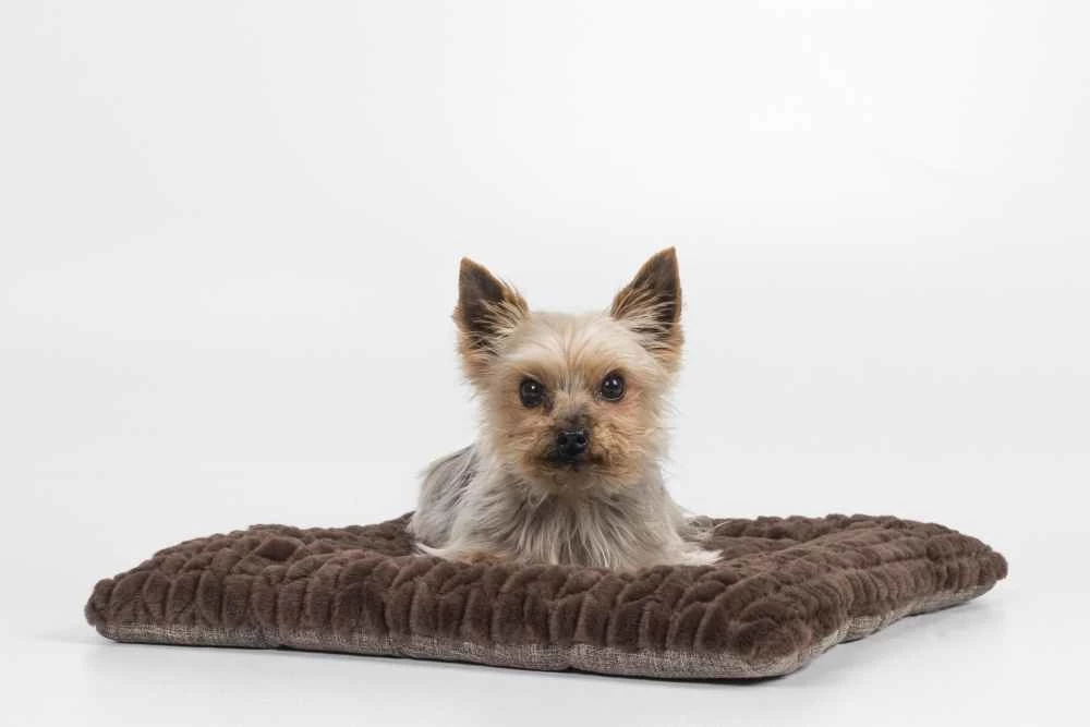 TrendPet Hondendeken Heaven Bruin 4 TrendPet Hondendeken Heaven Bruin - Afbeelding 2