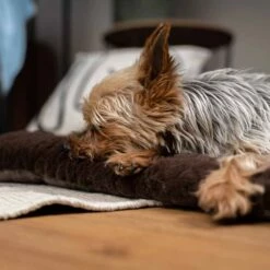 TrendPet Hondendeken Heaven Bruin 12 TrendPet Hondendeken Heaven Bruin -Hond winkel image 2380