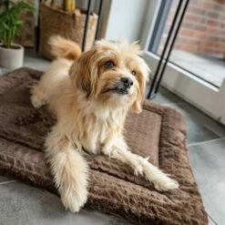 TrendPet Hondendeken Heaven Bruin 15 TrendPet Hondendeken Heaven Bruin -Hond winkel image 2383