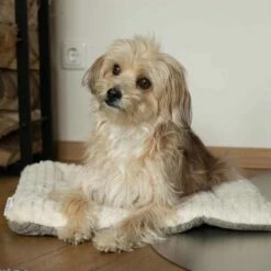 TrendPet Hondendeken Heaven Beige -Hond winkel image 2394