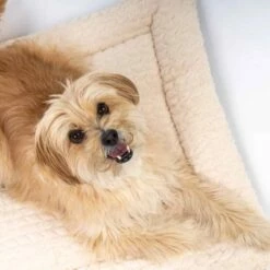 TrendPet Hondendeken Heaven Beige -Hond winkel image 2398