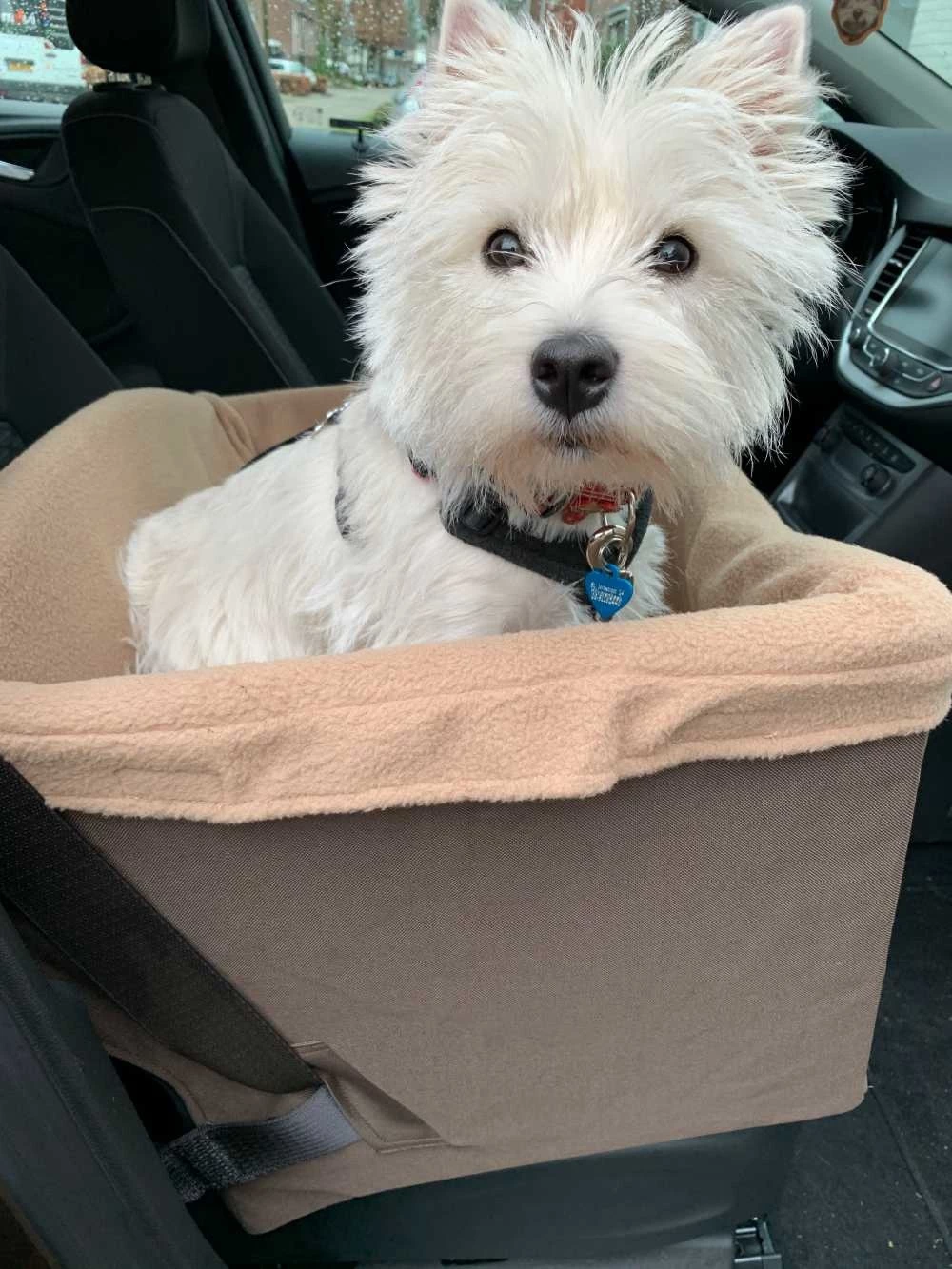 Petsafe Honden Autostoel Pet Safety Seat 4 Petsafe Honden Autostoel Pet Safety Seat - Afbeelding 2