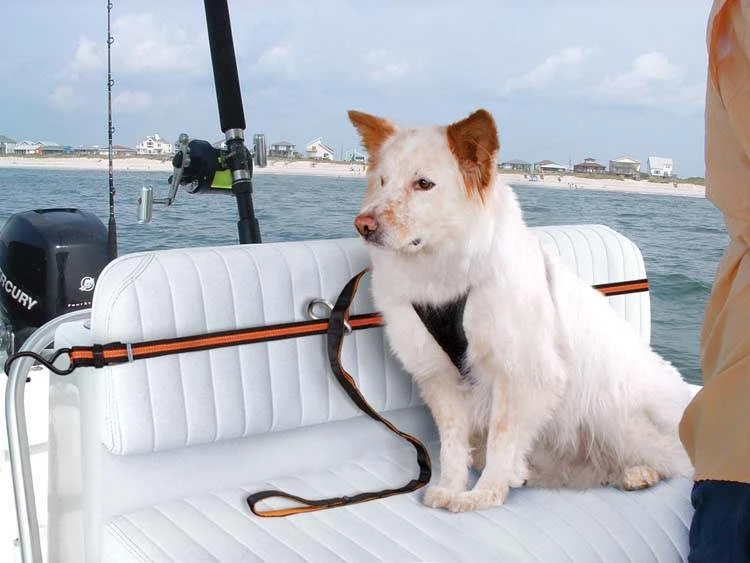 Kurgo Veiligheidsriem 4 Kurgo Veiligheidsriem - Afbeelding 2