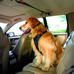 Kurgo Veiligheidsriem 14 Kurgo Veiligheidsriem -Hond winkel image 2421