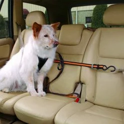 Kurgo Veiligheidsriem 18 Kurgo Veiligheidsriem -Hond winkel image 2425