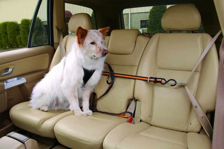 Kurgo Veiligheidsriem 10 Kurgo Veiligheidsriem - Afbeelding 8