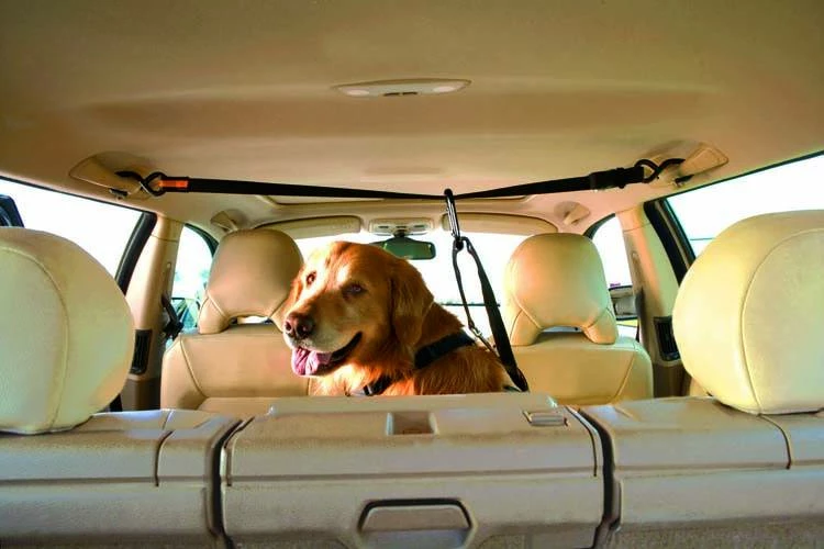 Kurgo Veiligheidsriem 12 Kurgo Veiligheidsriem - Afbeelding 10