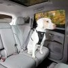 Kurgo Versterkt Hondentuig Voor De Auto Zwart -Hond winkel image 2546