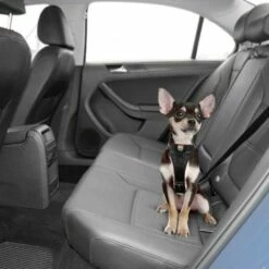 Kurgo Versterkt Hondentuig Voor De Auto Zwart -Hond winkel image 2548