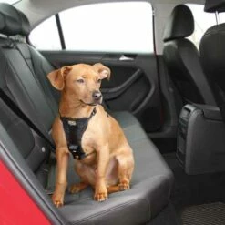 Kurgo Versterkt Hondentuig Voor De Auto Zwart -Hond winkel image 2549