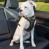Kurgo Hondentuig Impact Dog Car Harness -Hond winkel image 2559