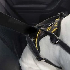 Kurgo Hondentuig Impact Dog Car Harness -Hond winkel image 2561