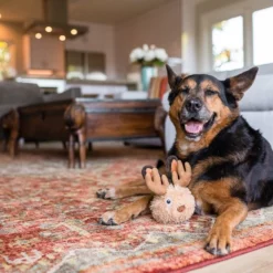 P.L.A.Y. Hondenspeelgoed Willow's Mythical - Jackalope -Hond winkel image 260