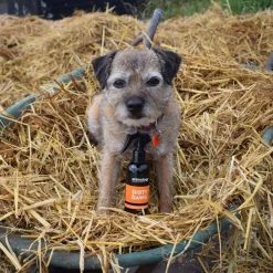 Animology Hondenshampoo Dirty Dawg