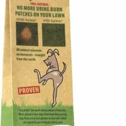 Dog Rocks -Hond winkel image 2616