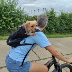 K9 Sport Sack Hondenrugzak Air Zwart 2 -Hond winkel image 2684