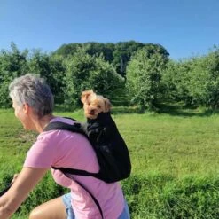 K9 Sport Sack Hondenrugzak Air Zwart 2 -Hond winkel image 2685