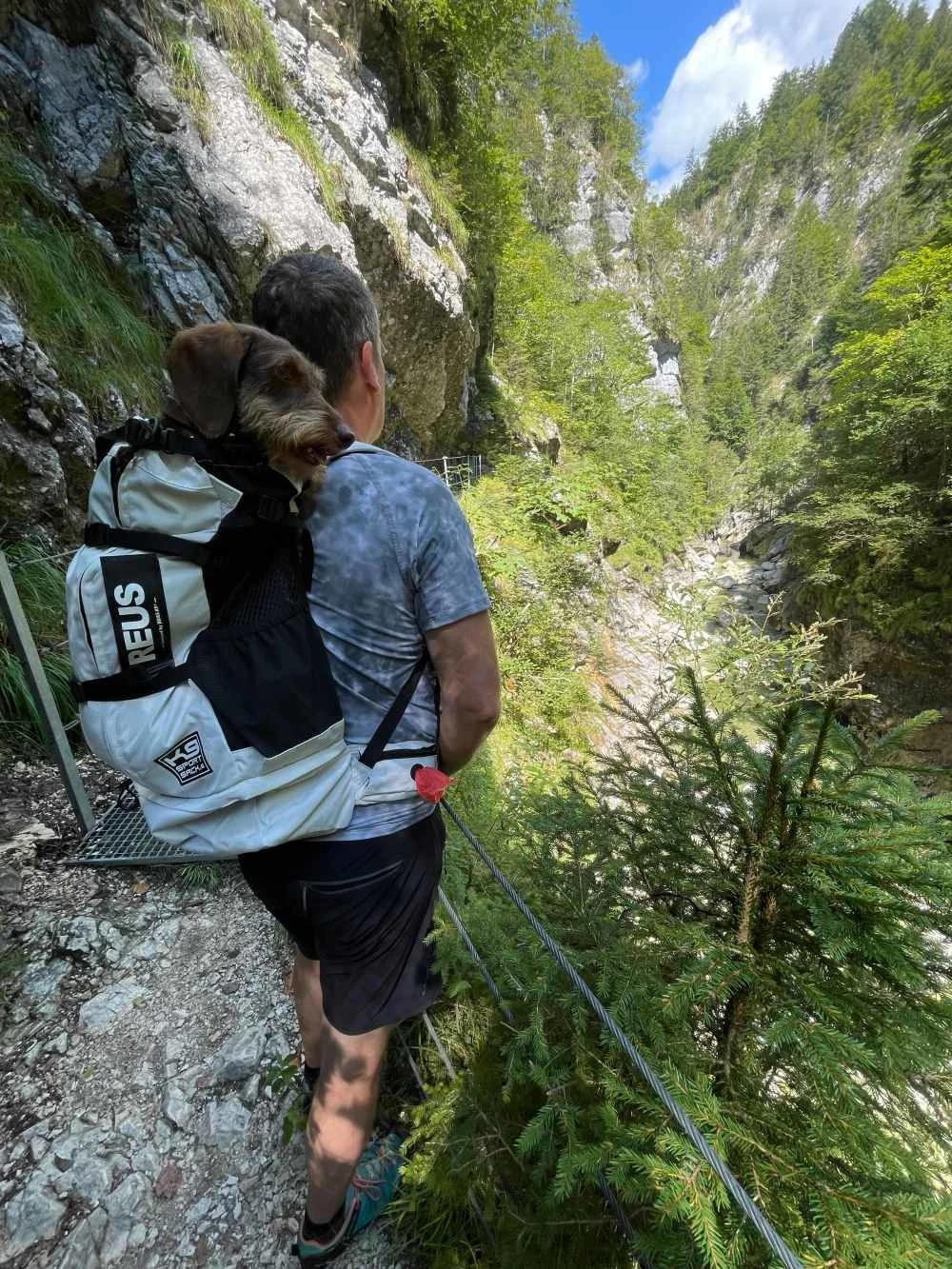 K9 Sport Sack Hondenrugzak Knavigate Grijs 4 K9 Sport Sack Hondenrugzak Knavigate Grijs - Afbeelding 2