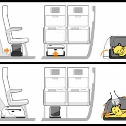 Sleepypod Hondendraagtas Air Orange Dream -Hond winkel image 2836