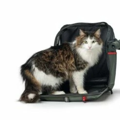 Hunter Hondenrugzak Orlando Khaki -Hond winkel image 2880