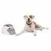 Petsafe Hondentrainer Treat & Train ® -Hond winkel image 2928