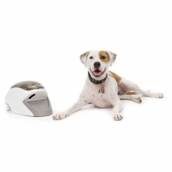 Petsafe Hondentrainer Treat & Train ®