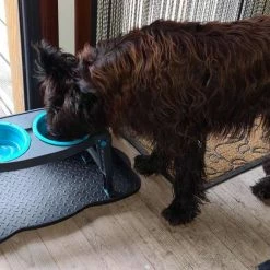 Dexas Adjustable Height Pet Feeder Pro Blue 9 Dexas Adjustable Height Pet Feeder Pro Blue -Hond winkel image 2957