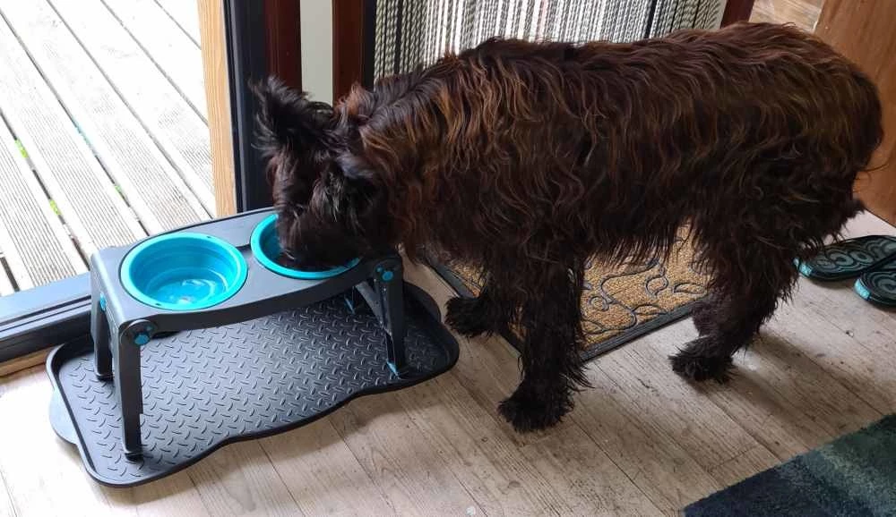 Dexas Adjustable Height Pet Feeder Pro Blue 6 Dexas Adjustable Height Pet Feeder Pro Blue - Afbeelding 4