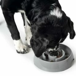 Hunter Anti Schrok Voerbak Atlanta Grijs -Hond winkel image 2965