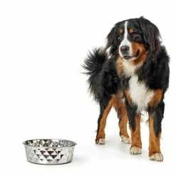 Hunter Drinkbak Of Voerbak Namy 8 Hunter Drinkbak Of Voerbak Namy -Hond winkel image 2974