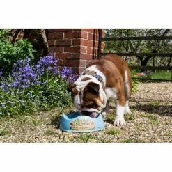 Beco Pets Drinkbak Of Voerbak Beco Bowl Blauw