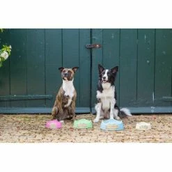 Beco Pets Drinkbak Of Voerbak Beco Bowl Blauw -Hond winkel image 2980