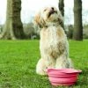 Beco Pets Drinkbak Of Voerbak Travel Bowl Roze -Hond winkel image 2982
