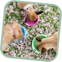 Beco Pets Drinkbak Of Voerbak Travel Bowl Roze -Hond winkel image 2984