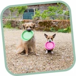 Beco Pets Drinkbak Of Voerbak Travel Bowl Roze -Hond winkel image 2985