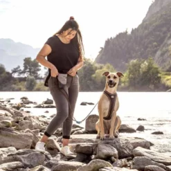 Curli Beloningszakje Grijs -Hond winkel image 3038