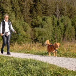 Curli Beloningszakje Grijs -Hond winkel image 3039