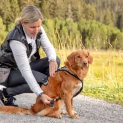Curli Beloningszakje Grijs -Hond winkel image 3040