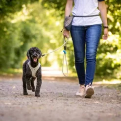 Curli Beloningszakje Grijs -Hond winkel image 3041