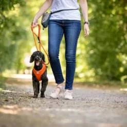 Curli Beloningszakje Grijs -Hond winkel image 3042